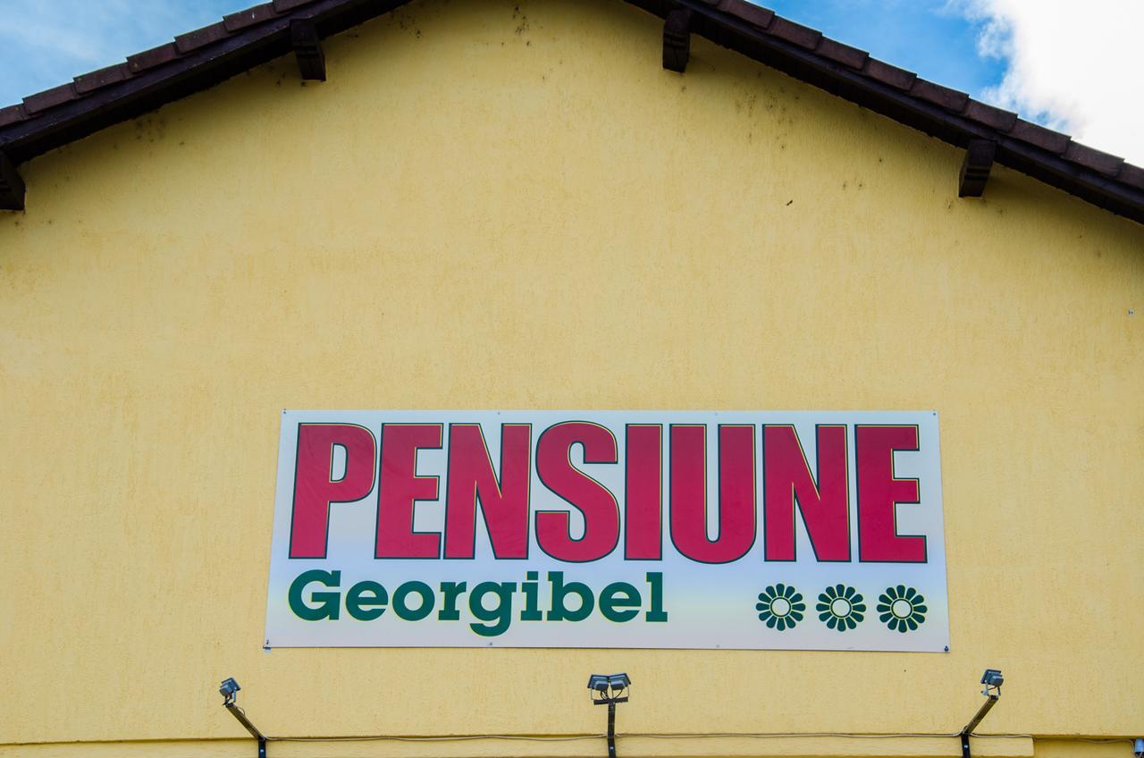 Pensiunea Georgibel Дева Экстерьер фото